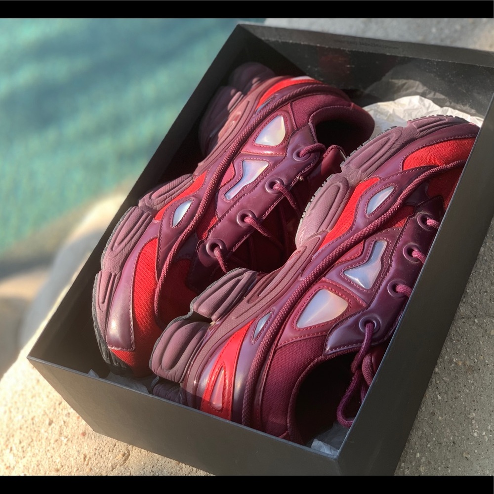 Raf Simons Ozweego 3